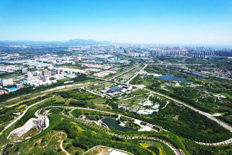 秦皇岛 SEO 优化：提升网站排名和业务增长的终极指南