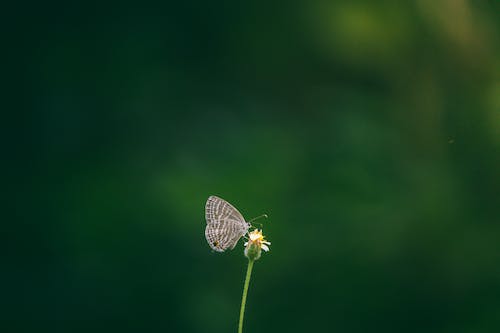 安阳SEO: 为您的企业在搜索引擎上提升知名度 (安阳森禾置业有限公司)