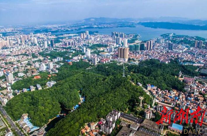 岳阳SEO优化指南：提升网站排名的终极策略 (岳阳优化网站)