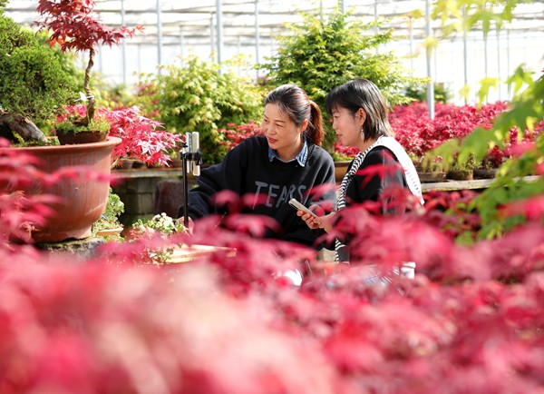 荥阳搜索引擎优化 (SEO)：助力您的业务在网上脱颖而出 (荥阳百度关键词优化哪家好)