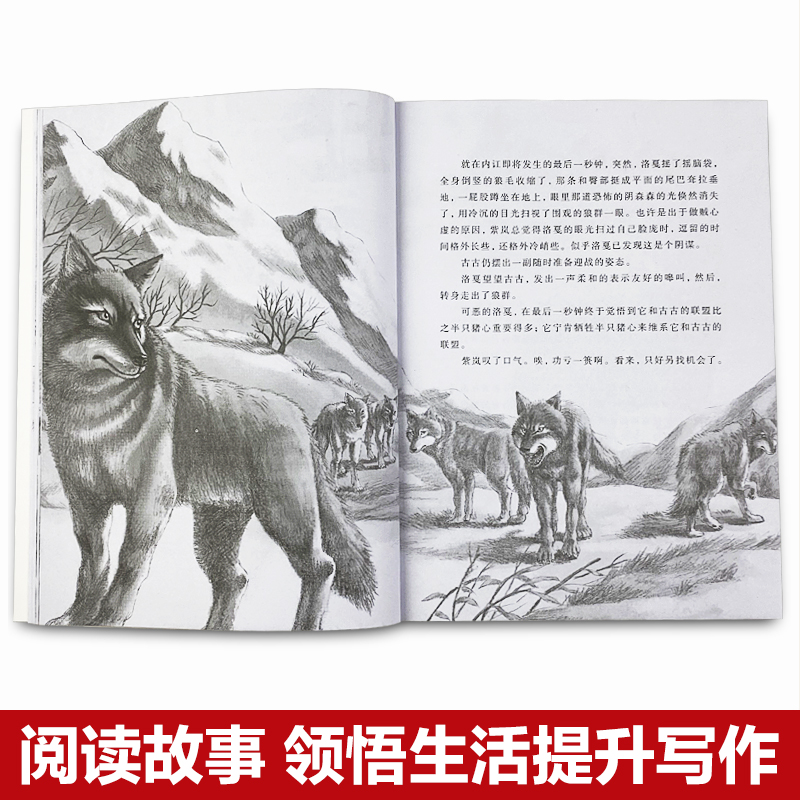 深入探索狼雨SEO教程：揭秘搜索引擎优化策略和技巧，实现网站卓越表现 (原神深入狼之殿怎么过)