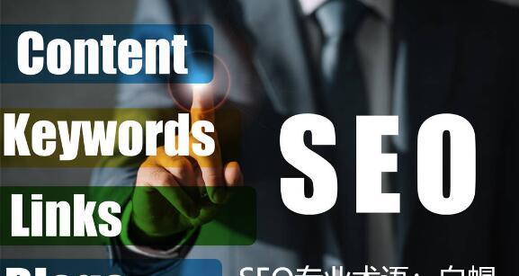 从零开始掌握 SEO 技巧：必备知识和实操指南 (从零开始掌握一项技能的经历)