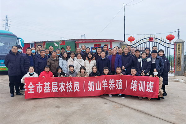 引领陕西的搜索引擎优化：全面指南和最佳实践 (陕西引领我成长)