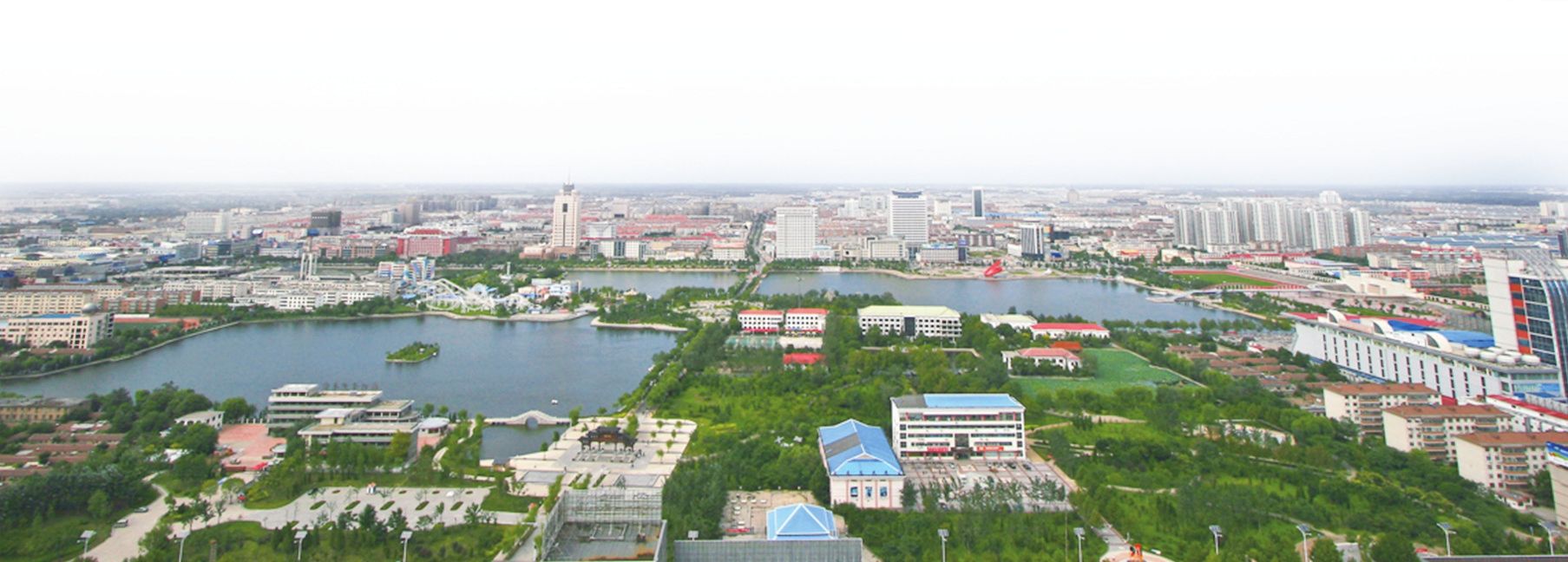 德州 SEO 策略：本地企业在孤星之州脱颖而出的终极秘诀 (德州网站建站)