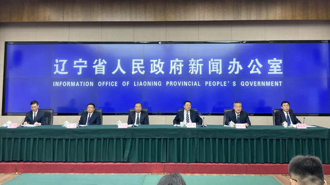 提升沈阳业务在线能见度：综合沈阳SEO策略 (提升 业务)