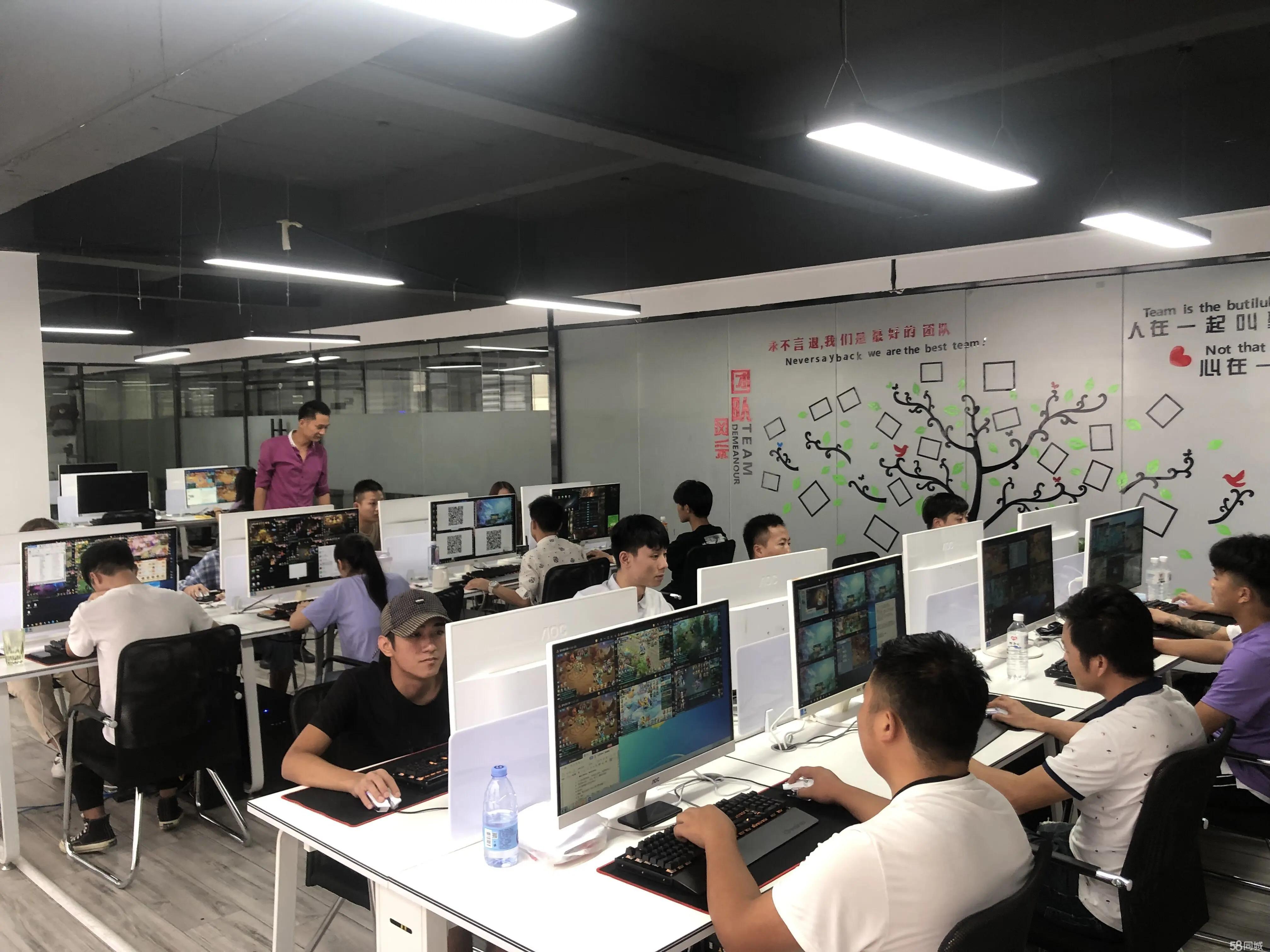 为您的企业打造高效且引人注目的网站解决方案 (企业为我提供平台,我为企业)