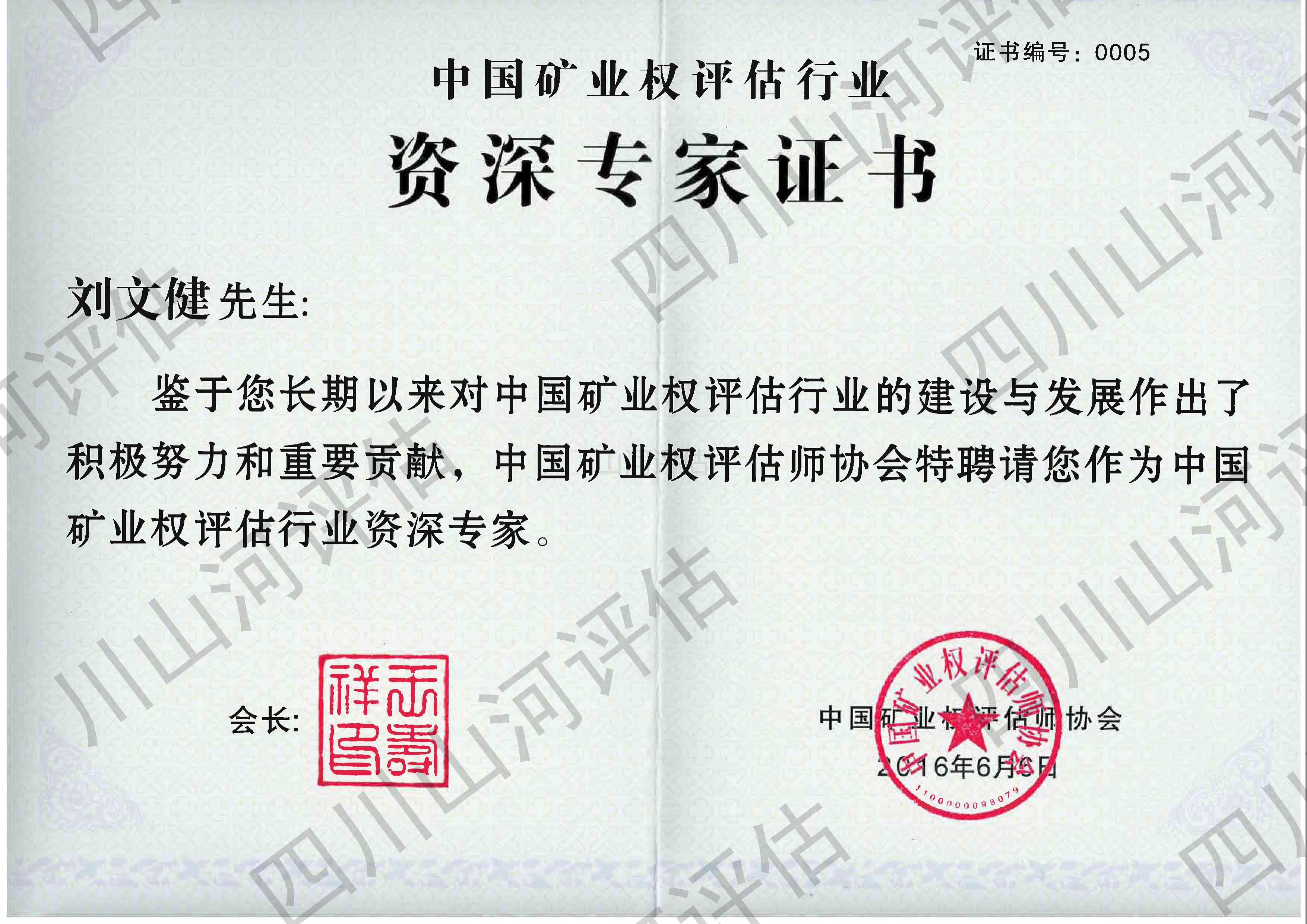 专家级域名申请秘诀：优化你的网站名称并提升在线影响力 (专家级域名申请要多久)