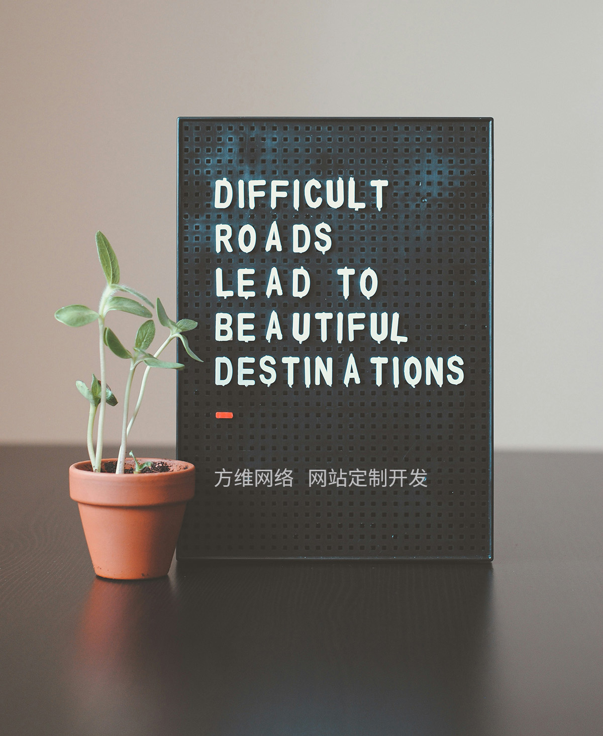 探索网页设计的理想尺寸和比例 (探索网页设计软件)