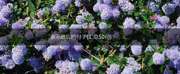 打造令人难忘的网站首页：吸引目光，提升转化率 (打造令人难忘的城市)
