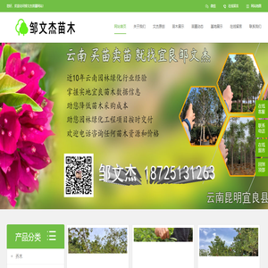 云南花木苗木斗南呈贡宜良苗圃基地批发市场在哪里