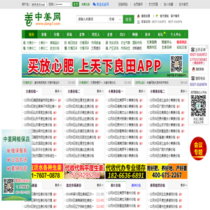 中姜网
