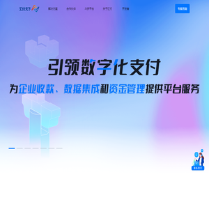 引领数字化支付