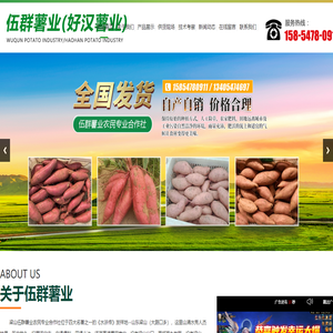 梁山伍群薯业农民专业合作社