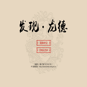 四川龙德集团