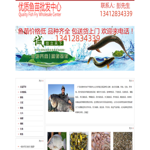 中山鱼苗场13412834339中山鱼苗批发市场