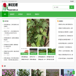 鲜花心愿