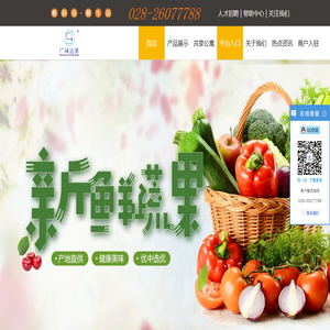 资阳市远景网络科技有限公司