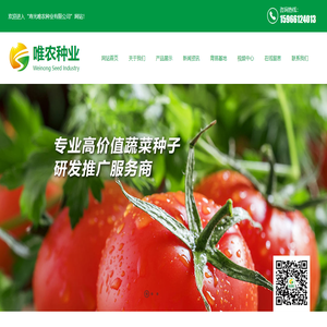 番茄种子,苦瓜种子,西葫芦种子,辣椒种子,黄瓜种子,砧木种子,蔬菜种苗