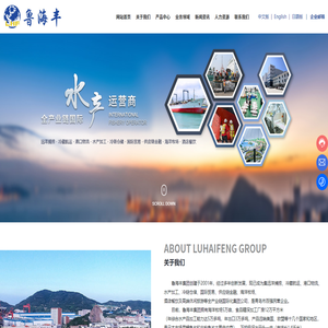 鲁海丰集团