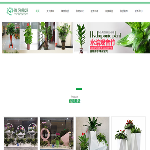 西安绿植租赁,西安绿植租摆,西安花卉租赁,西安办公室绿植租摆