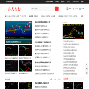 公式指标–