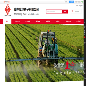 番茄种子,蔬菜种子,山东威尔种子有限公司