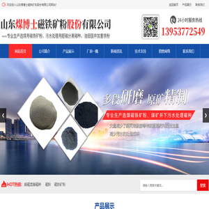山东煤博士磁铁矿粉股份有限公司