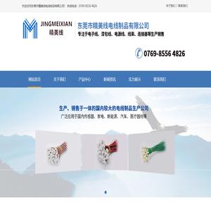 东莞市精美线电线制品有限公司