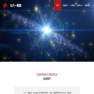 九六一集团