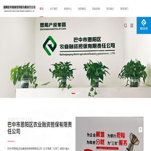 巴中市恩阳区农业融资担保有限责任公司