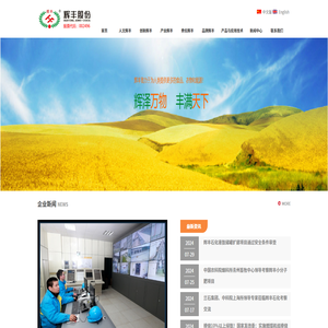辉丰股份有限公司