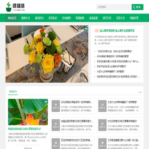 绿植迷