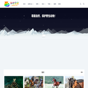 动物Top