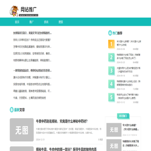 网站推广