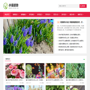小易植物