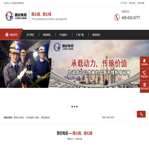 山东鲁欣电缆