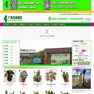 广州正欣园艺多肉植物批发网站