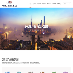 海螺颠创集团