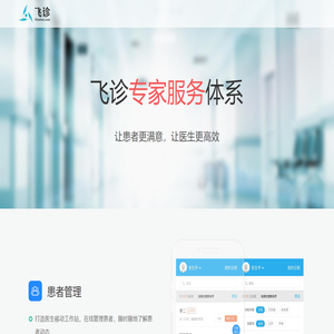 飞诊
