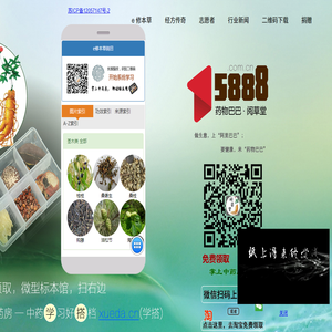 学中药