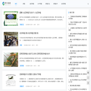 重庆帮卡尔科技有限公司