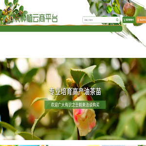 油茶种植云商平台