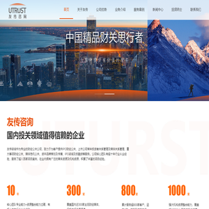 友传咨询