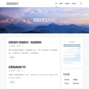 凤凰信息技术