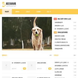 蝶恋宠物网