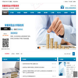 安徽财苑会计师事务所有限责任公司
