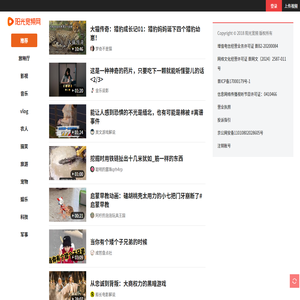 阳光宽频网