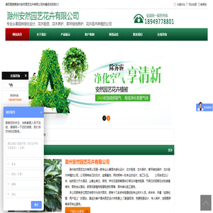 滁州安然园艺花卉有限公司