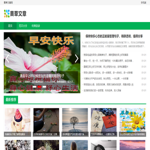 青草文章网