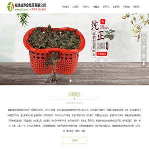 【金线莲】金线莲的功效
